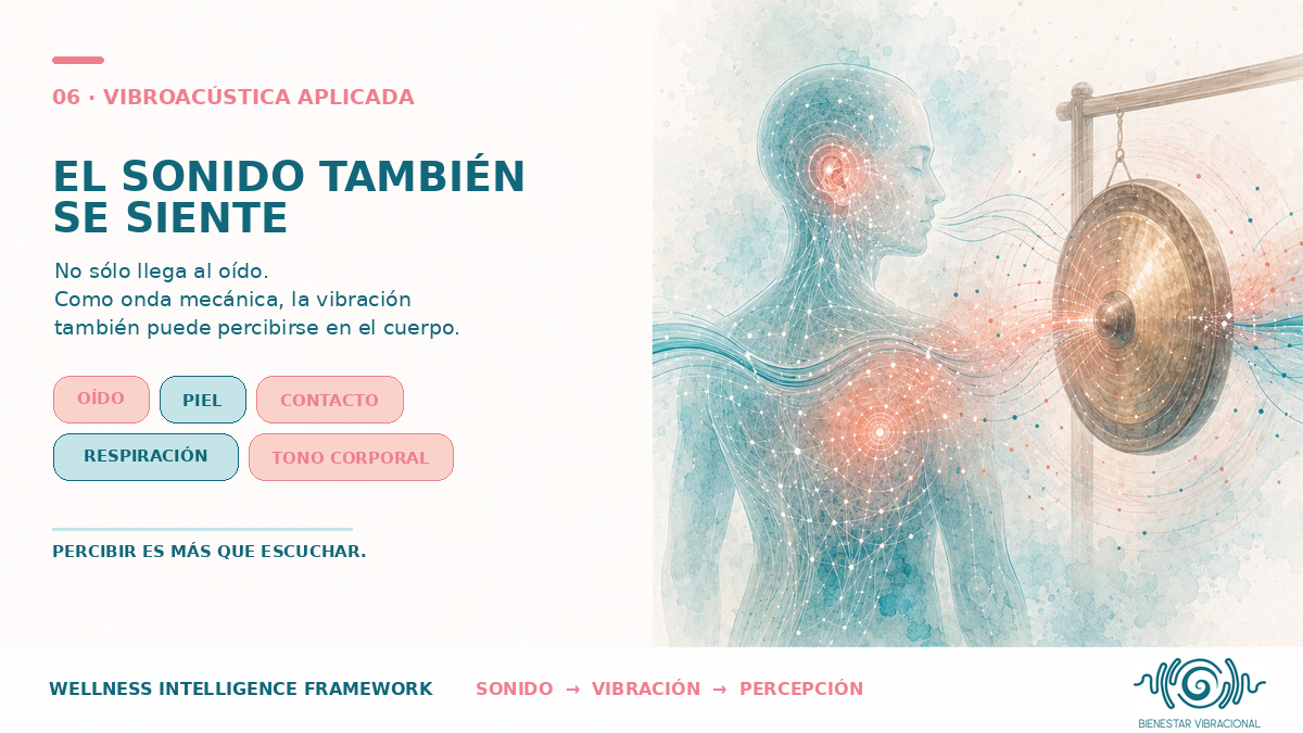 El sonido también se siente: oído, piel, contacto, respiración y tono corporal